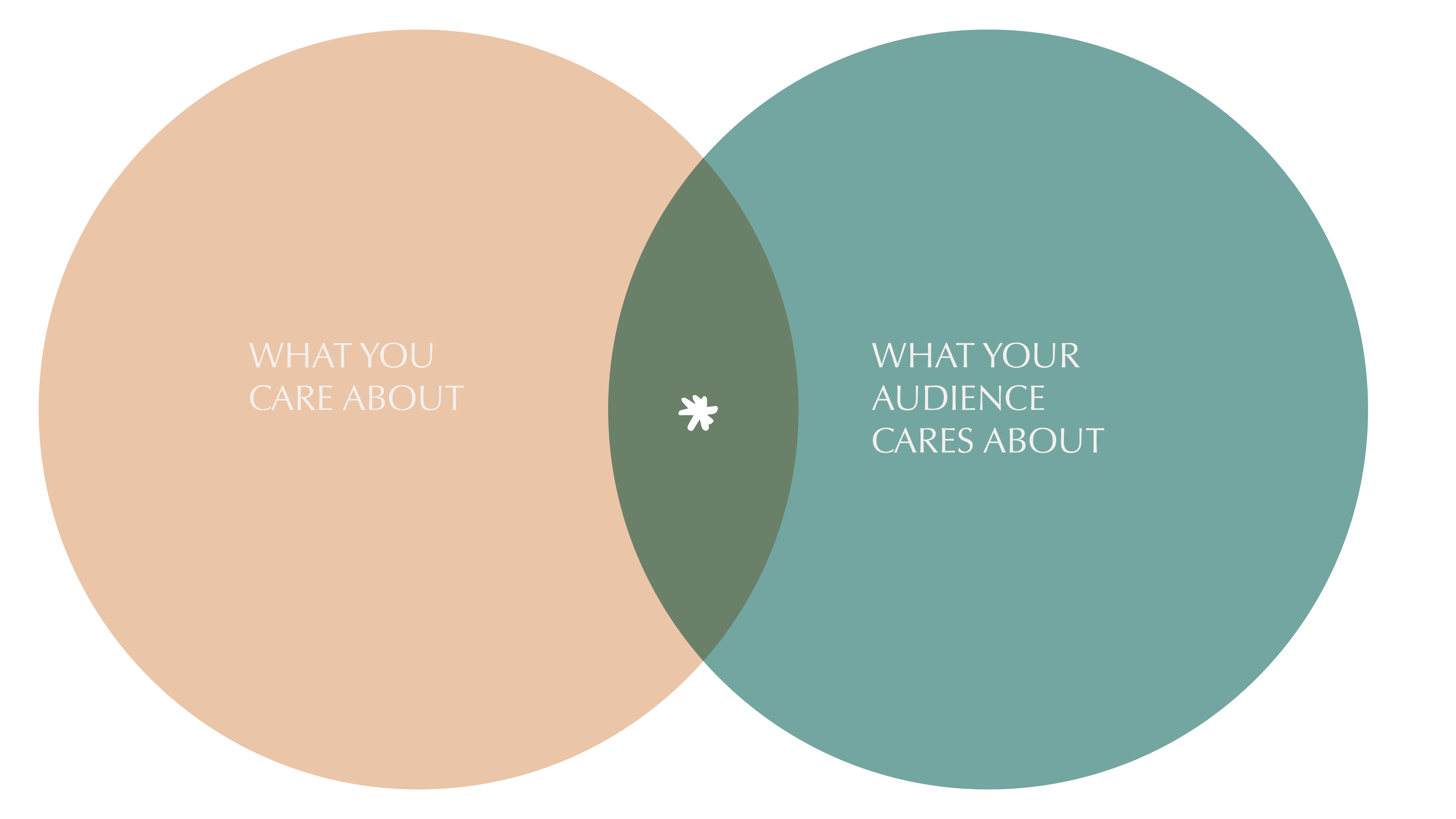 Services-Venn-Diagram-Citizen