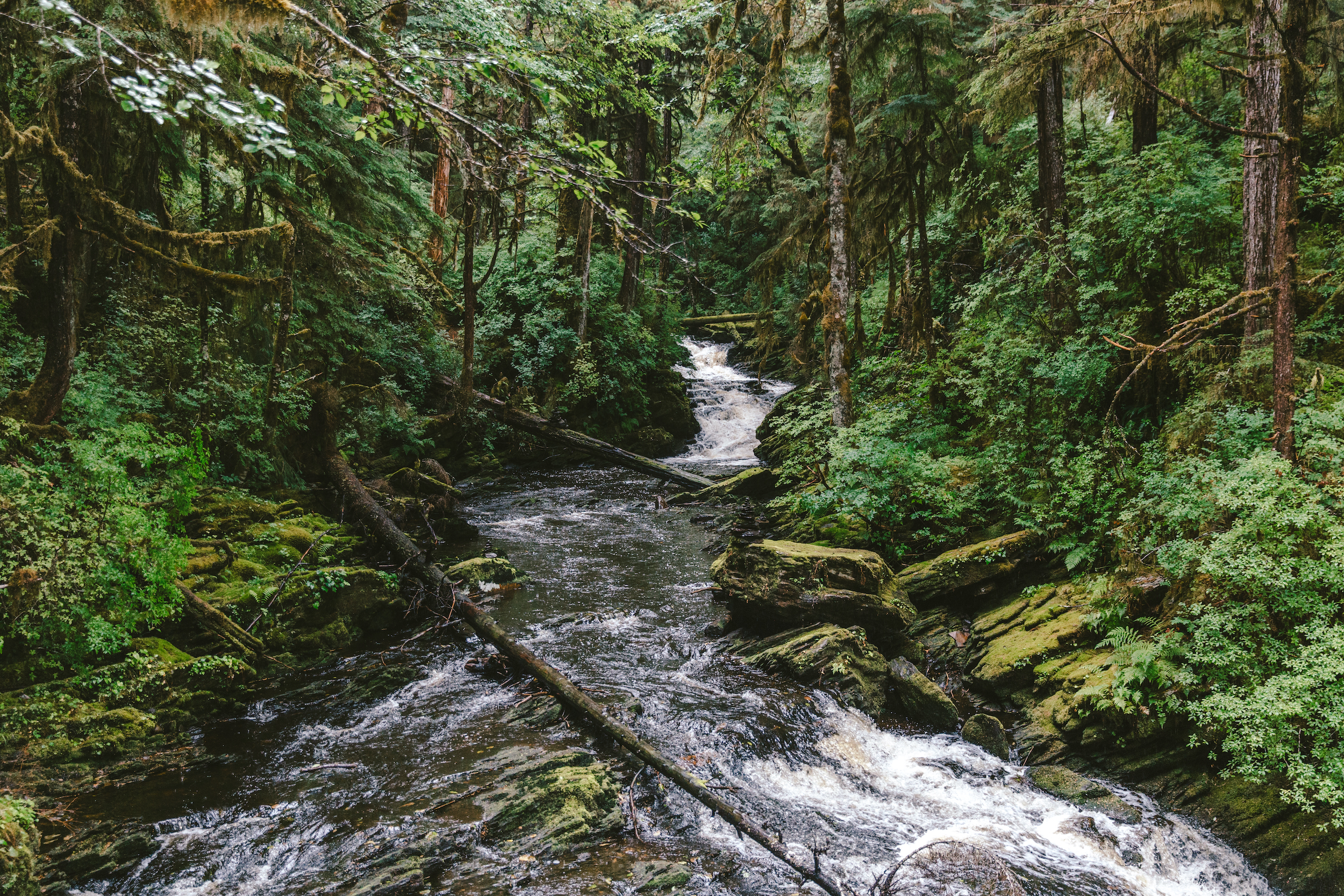 Alaska_Ketchikan_SettlersCove_Citizen_DanielVolland_26-copy